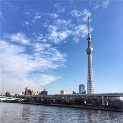天域幻想手游小米版下载